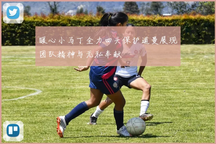 暖心小马丁全力回头保护道曼展现团队精神与无私奉献