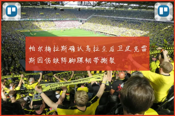 帕尔梅拉斯确认乌拉圭后卫皮克雷斯因伤缺阵脚踝韧带撕裂